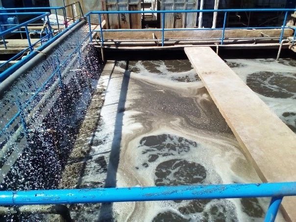 Bùn vi sinh mang lại nhiều lợi ích thiết thực trong lĩnh vực xử lý nước thải