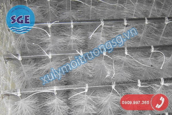 Web Admin